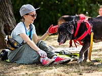 Adoptuj Warszawiaka  Wydarzenie promujące adopcję zwierząt. Organizator: Schronisko dla Bezdomnych Zwierząt "Na Paluchu". 18 sierpnia 2019, Park Raszyński w Raszynie. : park raszyński, adoptuj warszawiaka, na paluchu, schronisko dla zwierząt, centrum warszawy, raszyn